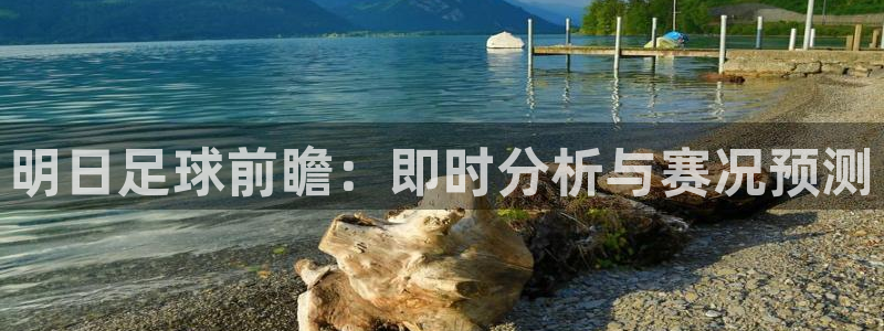 明日足球前瞻：即时分析与赛况预测