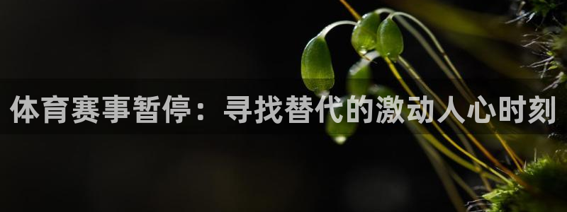 体育赛事暂停：寻找替代的激动人心时刻