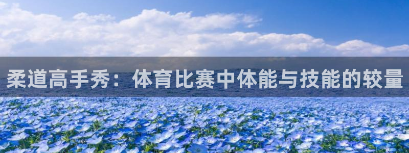 柔道高手秀：体育比赛中体能与技能的较量