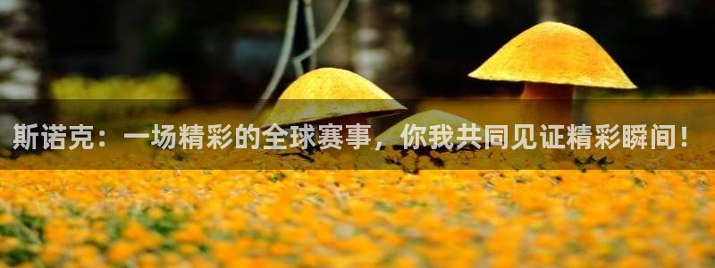 斯诺克：一场精彩的全球赛事，你我共同见证精彩瞬间！