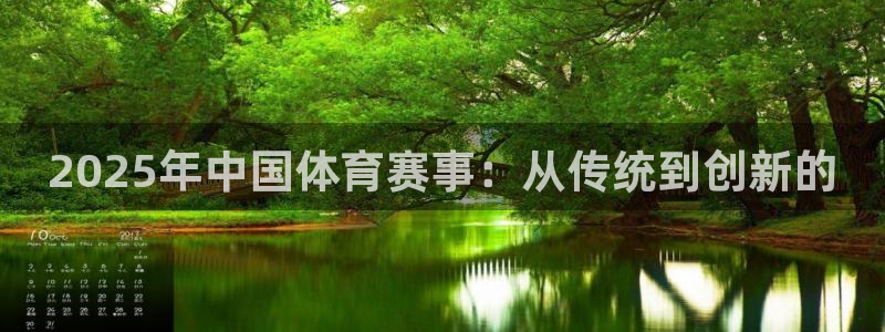 2025年中国体育赛事：从传统到创新的