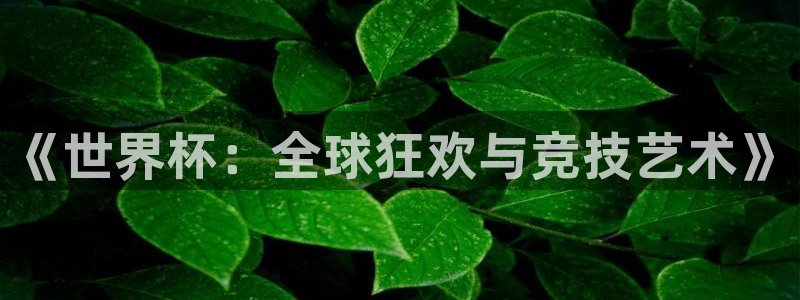 《世界杯：全球狂欢与竞技艺术》