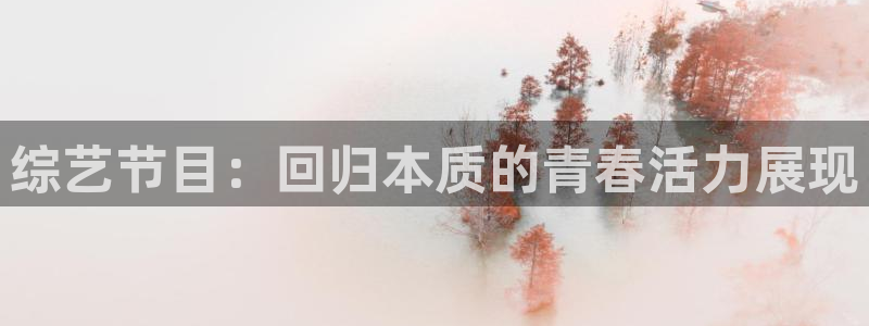 综艺节目：回归本质的青春活力展现