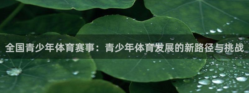 全国青少年体育赛事：青少年体育发展的新路径与挑战